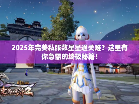 2025年完美私服数星星通关难？这里有你急需的终极秘籍！