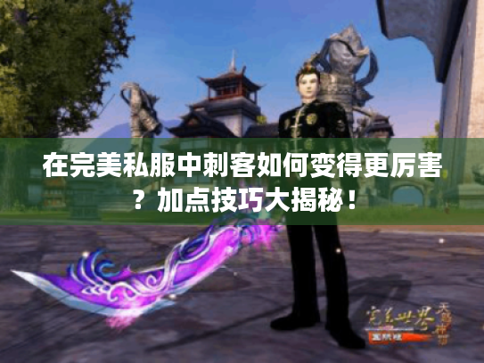 在完美私服中刺客如何变得更厉害?加点技巧大揭秘! 在完美私服中刺客如何变得更厉害?加点技巧大揭秘!