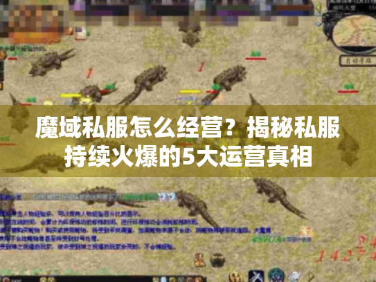魔域私服怎么经营?揭秘私服持续火爆的5大运营真相 魔域私服怎么经营?揭秘私服持续火爆的5大运营真相
