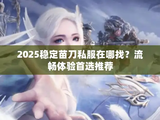 2025稳定苗刀私服在哪找？流畅体验首选推荐