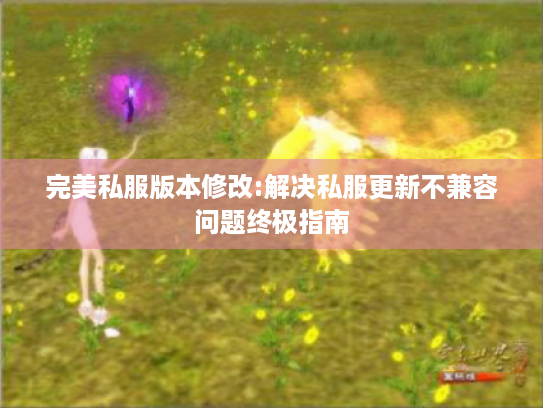 完美私服版本修改:解决私服更新不兼容问题终极指南 完美私服版本修改:解决私服更新不兼容问题终极指南