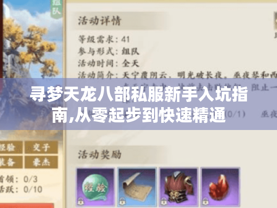 寻梦天龙八部私服新手入坑指南,从零起步到快速精通 寻梦天龙八部私服新手入坑指南,从零起步到快速精通