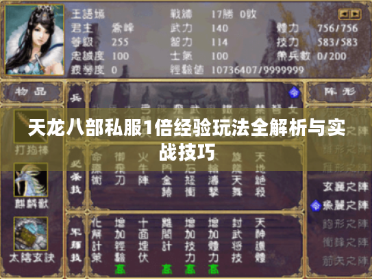 天龙八部私服1倍经验玩法全解析与实战技巧 天龙八部私服1倍经验玩法全解析与实战技巧