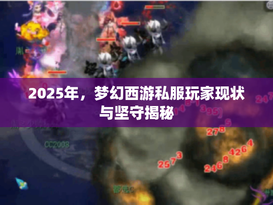 2025年，梦幻西游私服玩家现状与坚守揭秘