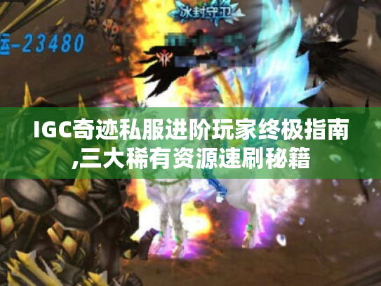 IGC奇迹私服进阶玩家终极指南,三大稀有资源速刷秘籍 IGC奇迹私服进阶玩家终极指南,三大稀有资源速刷秘籍