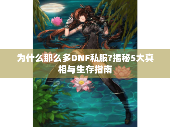为什么那么多DNF私服?揭秘5大真相与生存指南 为什么那么多DNF私服?揭秘5大真相与生存指南