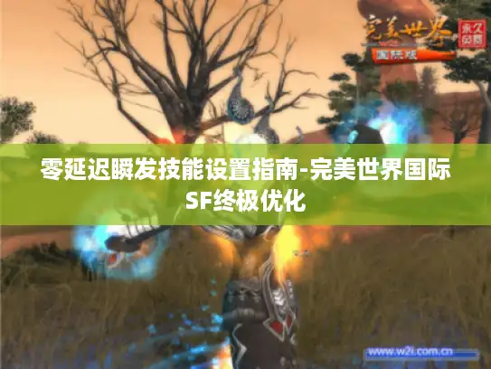 零延迟瞬发技能设置指南-完美世界国际SF终极优化