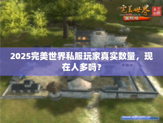 2025完美世界私服玩家真实数量,现在人多吗? 2025完美世界私服玩家真实数量,现在人多吗?