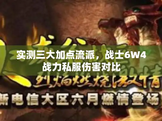 实测三大加点流派，战士6W4战力私服伤害对比