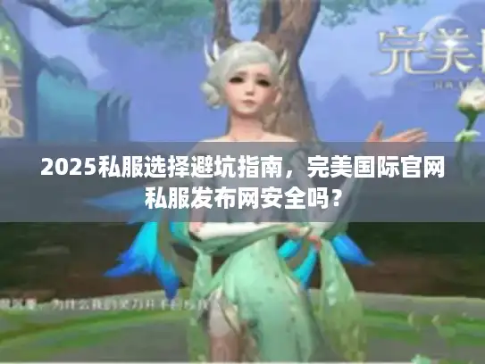 2025私服选择避坑指南,完美国际官网私服发布网安全吗? 2025私服选择避坑指南,完美国际官网私服发布网安全吗?