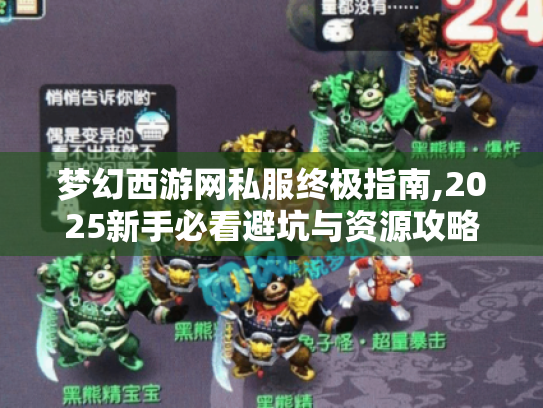 梦幻西游网私服终极指南,2025新手必看避坑与资源攻略 梦幻西游网私服终极指南,2025新手必看避坑与资源攻略