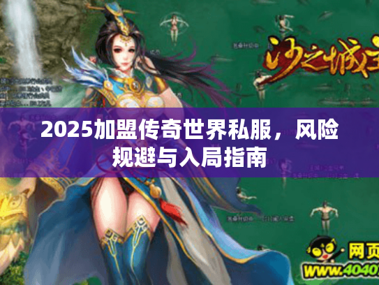 2025加盟传奇世界私服，风险规避与入局指南