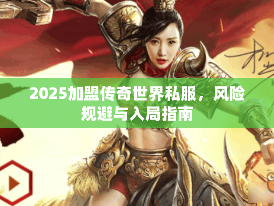 2025加盟传奇世界私服，风险规避与入局指南