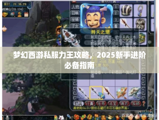 梦幻西游私服力王攻略，2025新手进阶必备指南