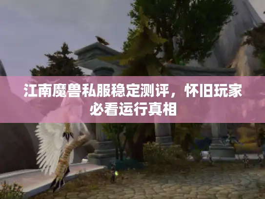 江南魔兽私服稳定测评，怀旧玩家必看运行真相