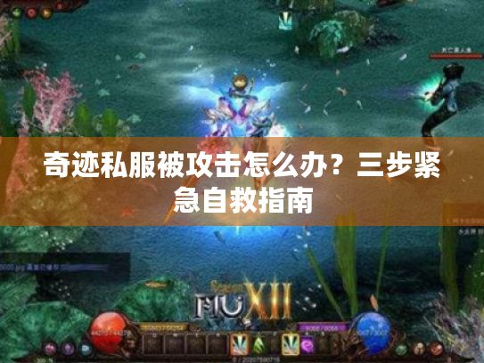 奇迹私服被攻击怎么办?三步紧急自救指南 奇迹私服被攻击怎么办?三步紧急自救指南