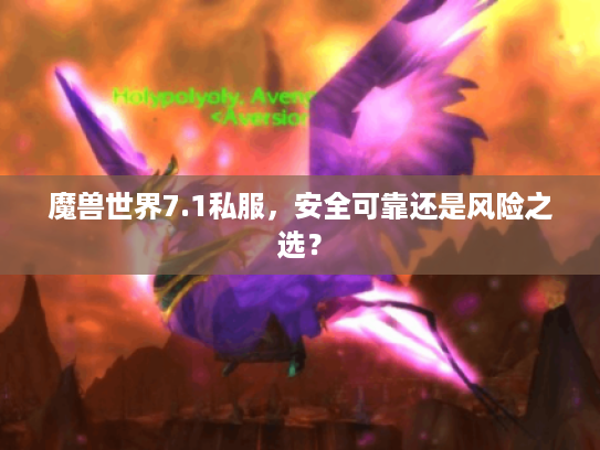魔兽世界7.1私服，安全可靠还是风险之选？
