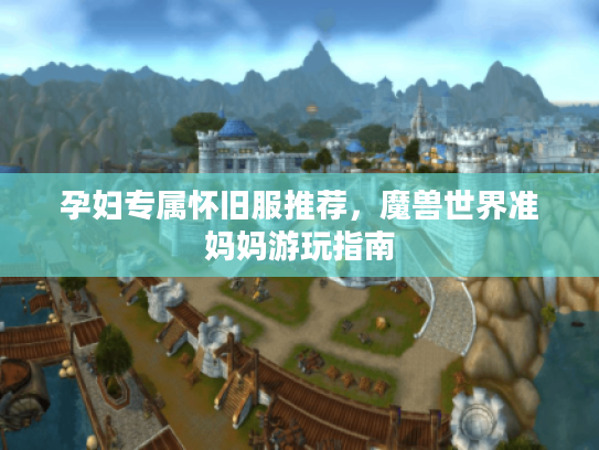 孕妇专属怀旧服推荐，魔兽世界准妈妈游玩指南