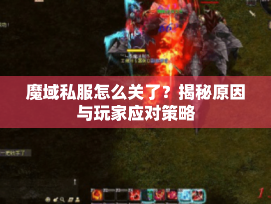 魔域私服怎么关了?揭秘原因与玩家应对策略 魔域私服怎么关了?揭秘原因与玩家应对策略