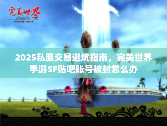 2025私服交易避坑指南,完美世界手游SF贴吧账号被封怎么办 2025私服交易避坑指南,完美世界手游SF贴吧账号被封怎么办