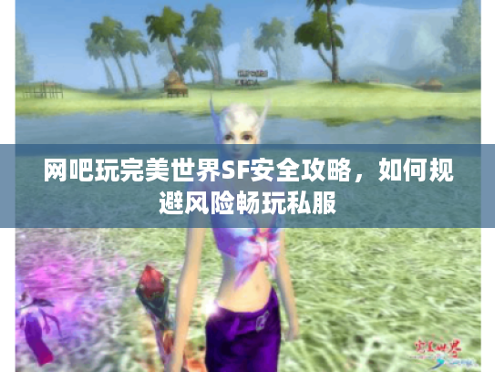 网吧玩完美世界SF安全攻略,如何规避风险畅玩私服 网吧玩完美世界SF安全攻略,如何规避风险畅玩私服