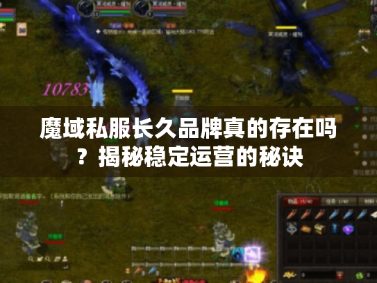 魔域私服长久品牌真的存在吗？揭秘稳定运营的秘诀