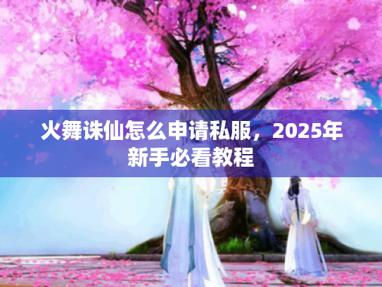 火舞诛仙怎么申请私服,2025年新手必看教程 火舞诛仙怎么申请私服,2025年新手必看教程