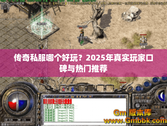 传奇私服哪个好玩？2025年真实玩家口碑与热门推荐