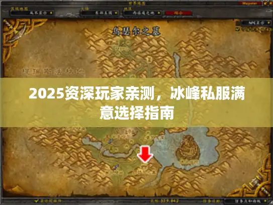2025资深玩家亲测，冰峰私服满意选择指南