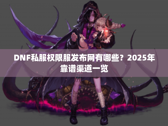 DNF私服权限服发布网有哪些？2025年靠谱渠道一览