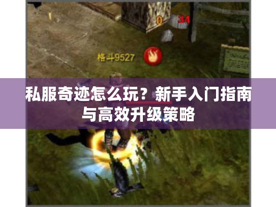 私服奇迹怎么玩?新手入门指南与高效升级策略 私服奇迹怎么玩?新手入门指南与高效升级策略