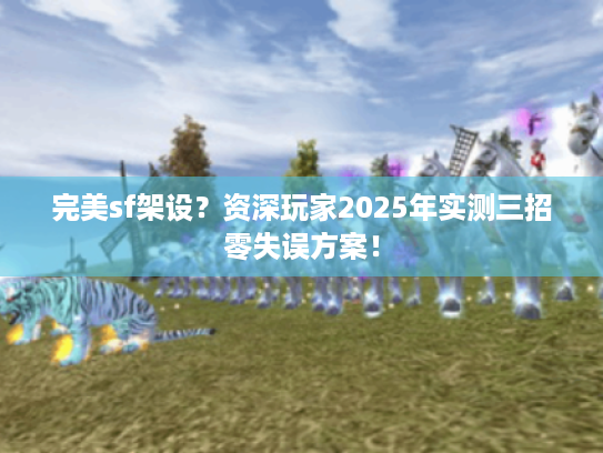 完美sf架设?资深玩家2025年实测三招零失误方案! 完美sf架设?资深玩家2025年实测三招零失误方案!