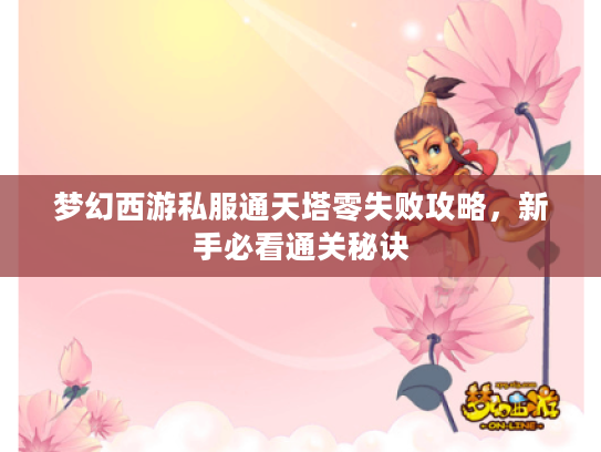梦幻西游私服通天塔零失败攻略，新手必看通关秘诀