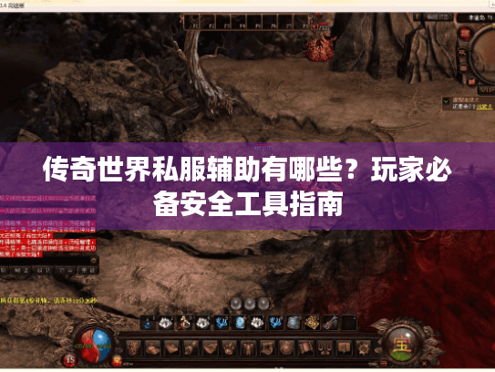 传奇世界私服辅助有哪些?玩家必备安全工具指南 传奇世界私服辅助有哪些?玩家必备安全工具指南