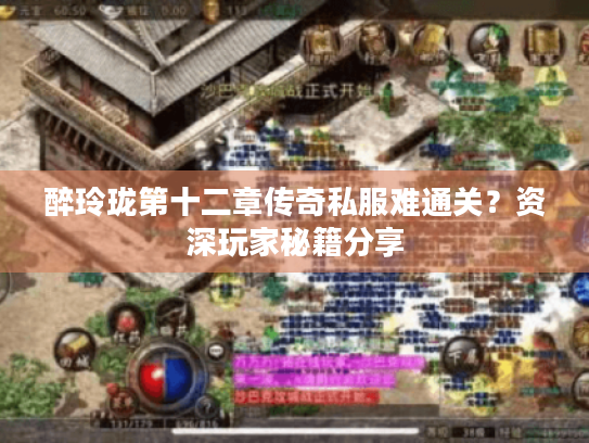 醉玲珑第十二章传奇私服难通关?资深玩家秘籍分享 醉玲珑第十二章传奇私服难通关?资深玩家秘籍分享