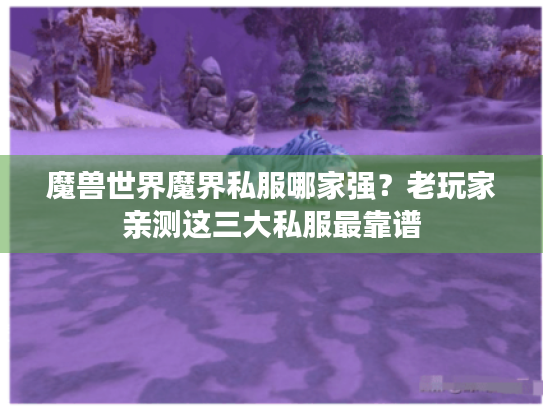 魔兽世界魔界私服哪家强?老玩家亲测这三大私服最靠谱 魔兽世界魔界私服哪家强?老玩家亲测这三大私服最靠谱