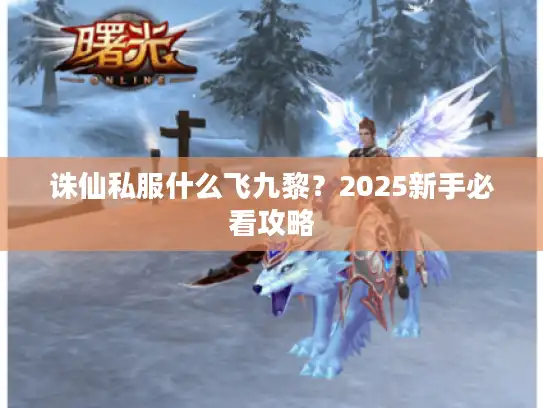 诛仙私服什么飞九黎？2025新手必看攻略