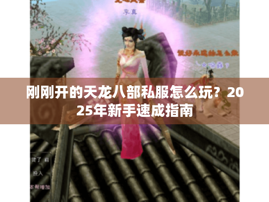 刚刚开的天龙八部私服怎么玩?2025年新手速成指南 刚刚开的天龙八部私服怎么玩?2025年新手速成指南