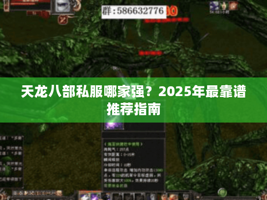 天龙八部私服哪家强？2025年最靠谱推荐指南