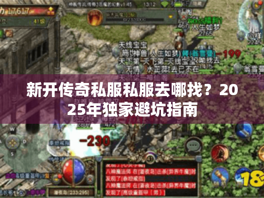 新开传奇私服私服去哪找?2025年独家避坑指南 新开传奇私服私服去哪找?2025年独家避坑指南