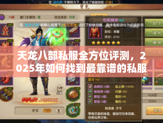 天龙八部私服全方位评测,2025年如何找到最靠谱的私服? 天龙八部私服全方位评测,2025年如何找到最靠谱的私服?