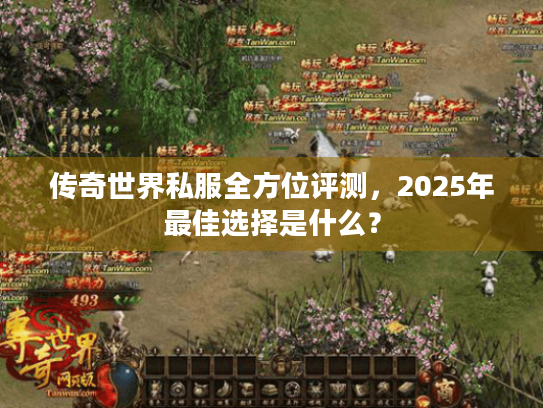 传奇世界私服全方位评测,2025年最佳选择是什么? 传奇世界私服全方位评测,2025年最佳选择是什么?