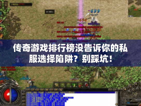 传奇游戏排行榜没告诉你的私服选择陷阱?别踩坑! 传奇游戏排行榜没告诉你的私服选择陷阱?别踩坑!
