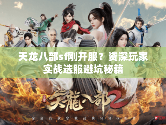 天龙八部sf刚开服？资深玩家实战选服避坑秘籍