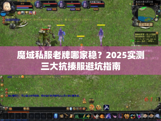 魔域私服老牌哪家稳?2025实测三大抗揍服避坑指南 魔域私服老牌哪家稳?2025实测三大抗揍服避坑指南