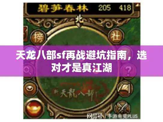 天龙八部sf再战避坑指南，选对才是真江湖