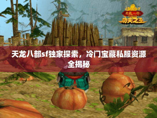 天龙八部sf独家探索,冷门宝藏私服资源全揭秘 天龙八部sf独家探索,冷门宝藏私服资源全揭秘