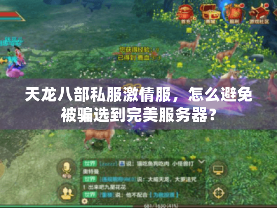 天龙八部私服激情服，怎么避免被骗选到完美服务器？