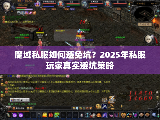 魔域私服如何避免坑?2025年私服玩家真实避坑策略 魔域私服如何避免坑?2025年私服玩家真实避坑策略