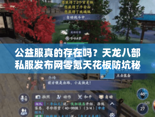 公益服真的存在吗？天龙八部私服发布网零氪天花板防坑秘籍
